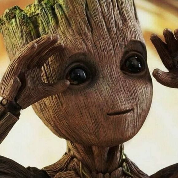 Meet your Posher, Tuesday - Picture 1 of 1